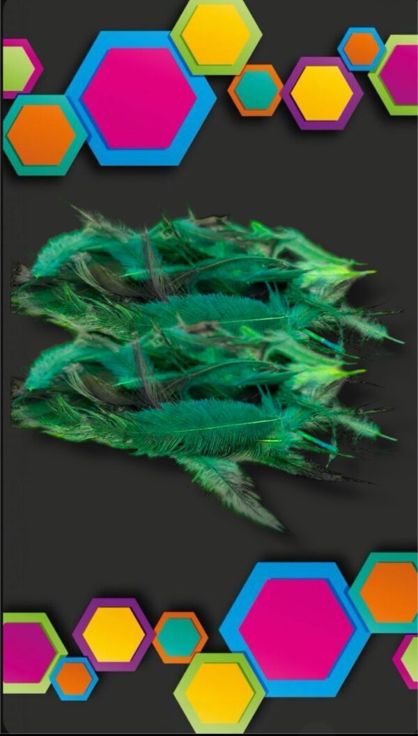 PLUMAS POR PAQUETE MINI PLUMA LISAS