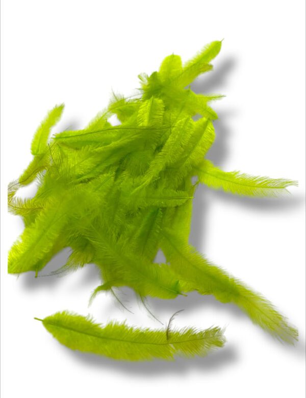 PAQUETE MINI, VERDE FLUOR