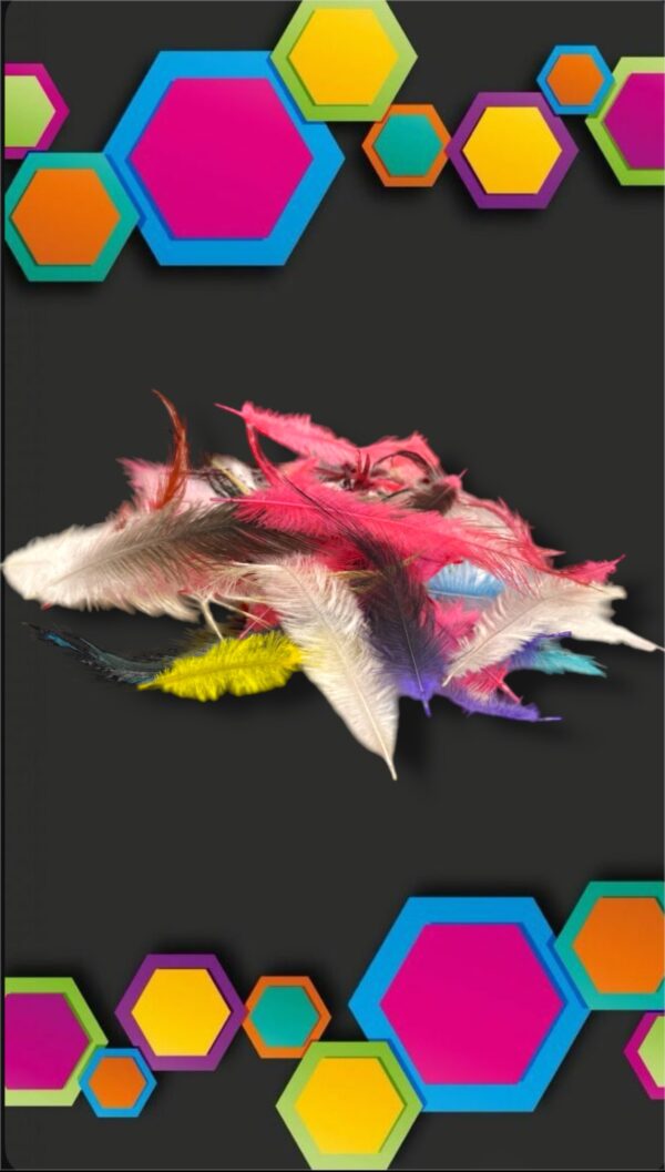 PLUMAS POR PAQUETE MINI PLUMA LISAS