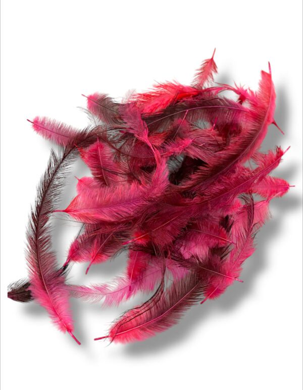 PAQUETE MINI, FUCSIA