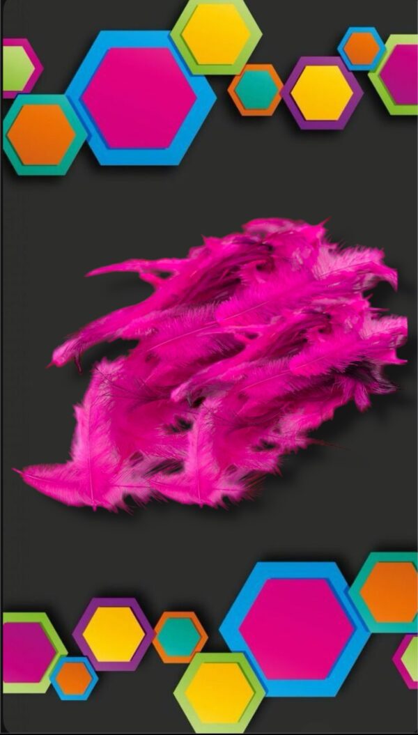 PLUMAS POR PAQUETE MINI PLUMA LISAS