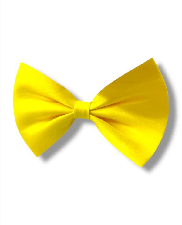 DE COLOR LISAS