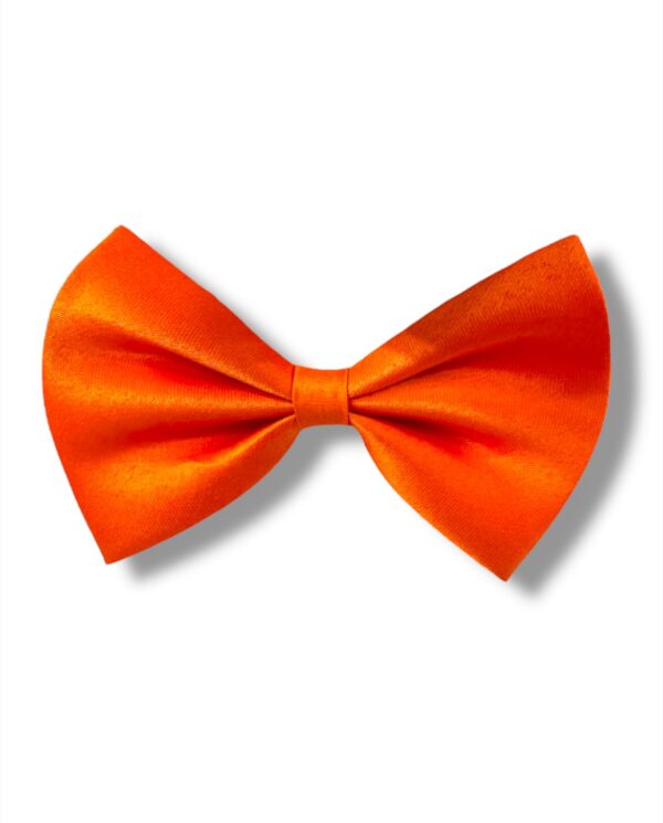 DE COLOR LISAS - Imagen 3
