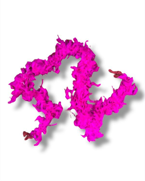 BOAS DE PLUMAS - Imagen 2