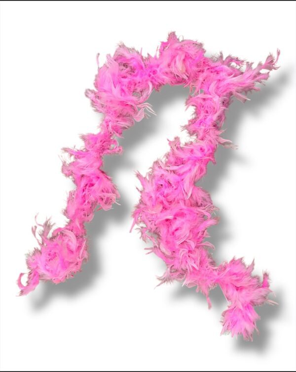 BOAS DE PLUMAS - Imagen 3