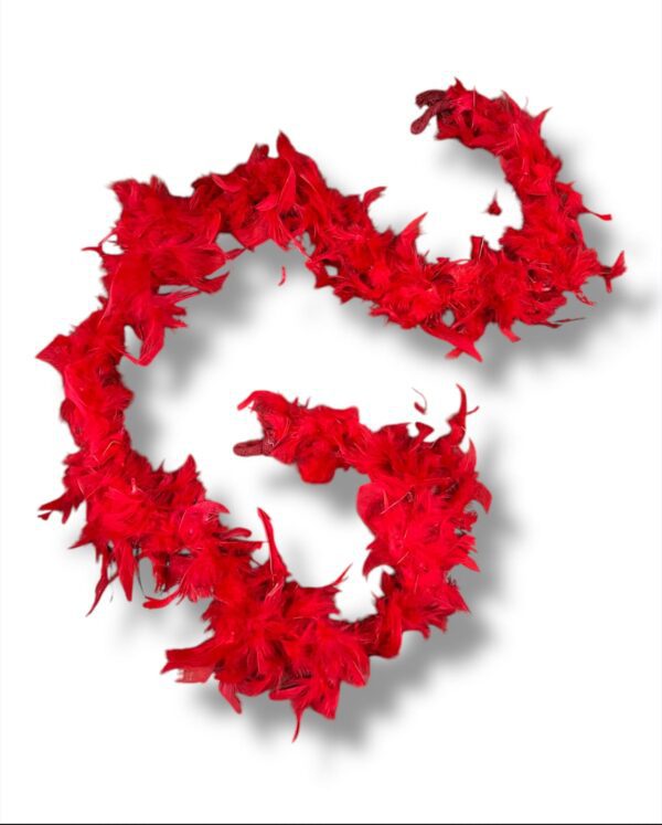 BOAS DE PLUMAS - Imagen 5