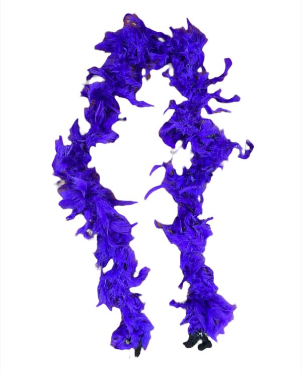 BOAS DE PLUMAS - Imagen 6