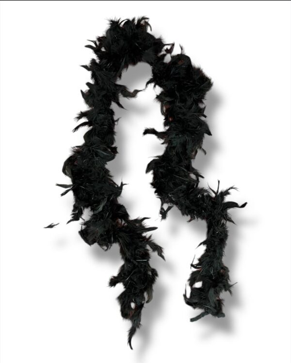 BOAS DE PLUMAS - Imagen 7
