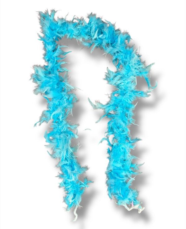 BOAS DE PLUMAS - Imagen 8