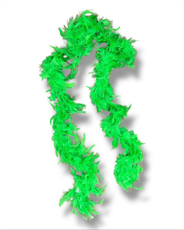 BOAS DE PLUMAS - Imagen 9