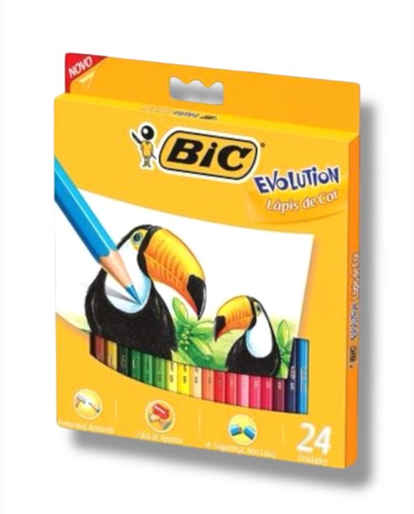BIC x24