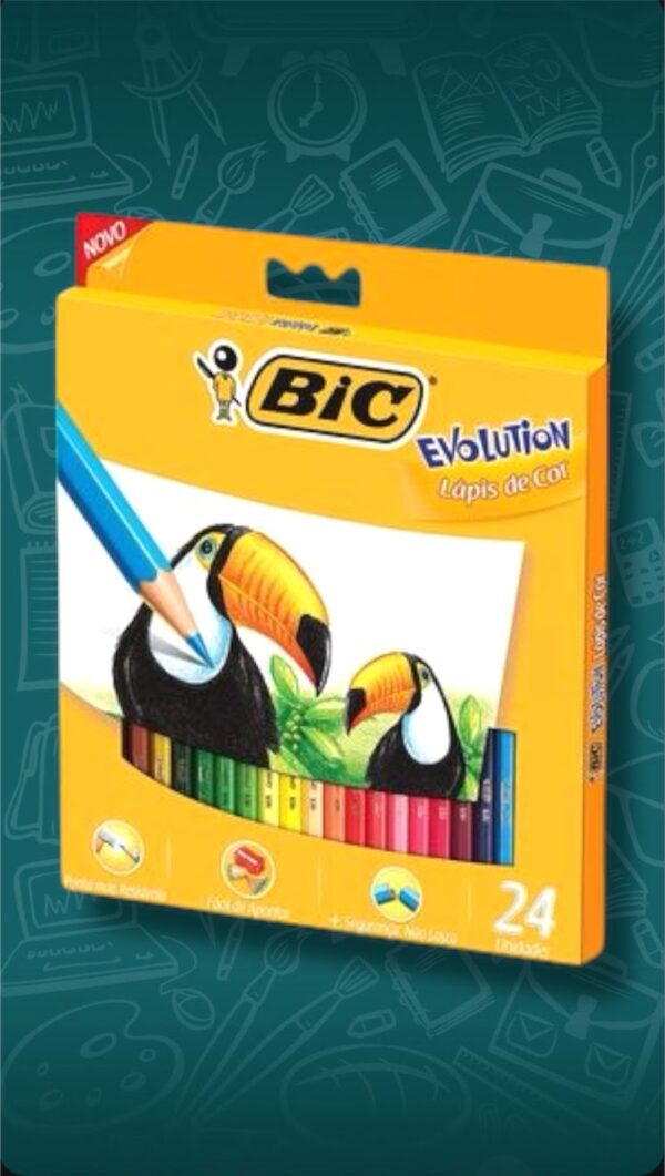 COLORES BIC x24