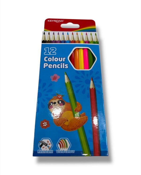 COLOUR PENCILS x12