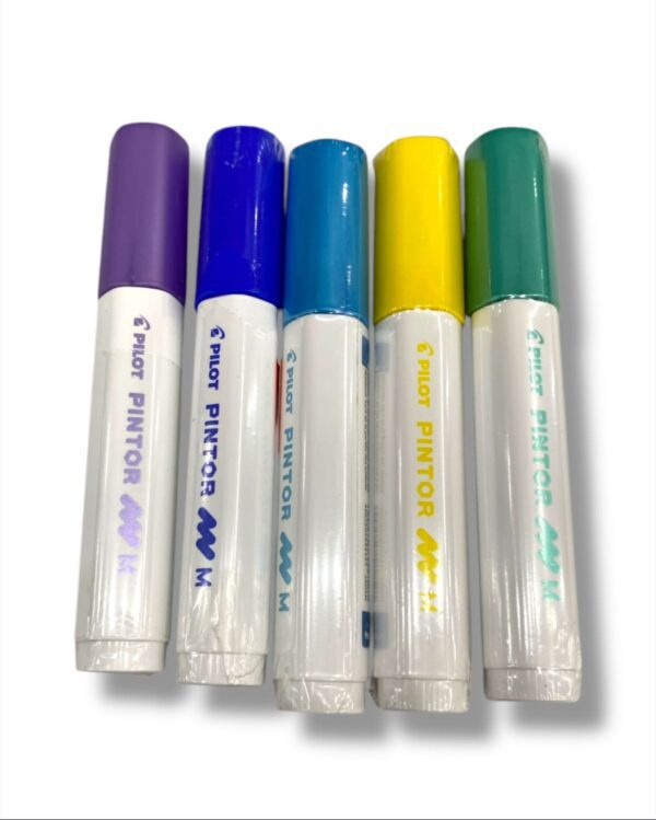 MARCADOR PILOT PINTOR M
