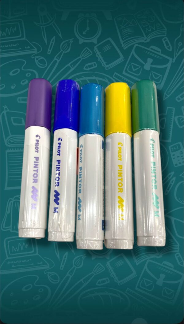 ARTICULOS DE PAPELERIA PILOT PINTOR M