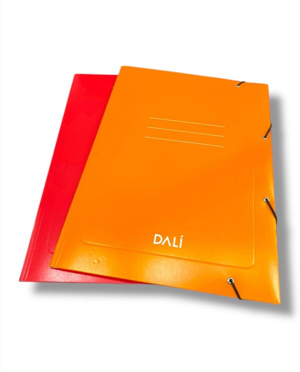 CARPETA DALI A4