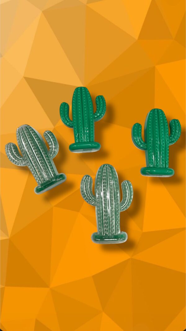 PASTILLEROS - CACTUS