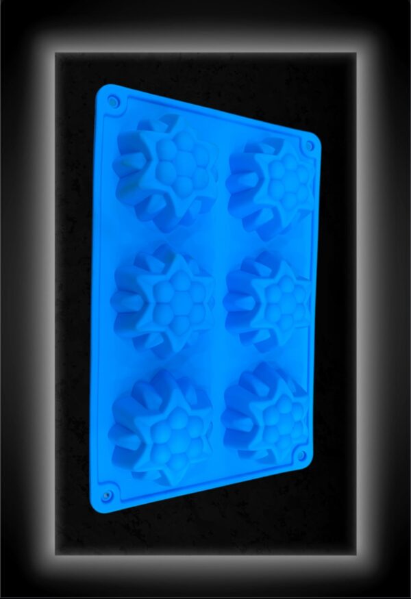 MOLDE SILICONA DE FORMA